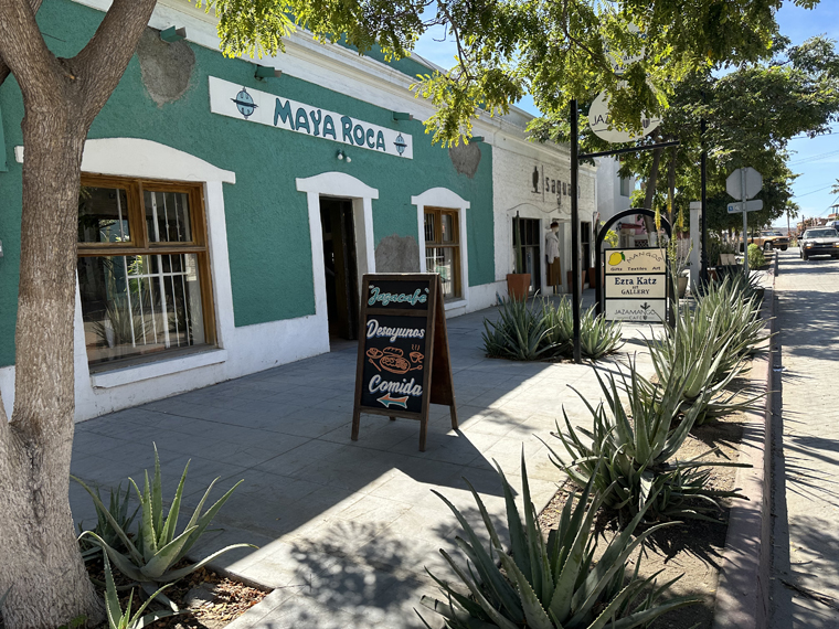 Ezra Katz Gallery Todos Santos