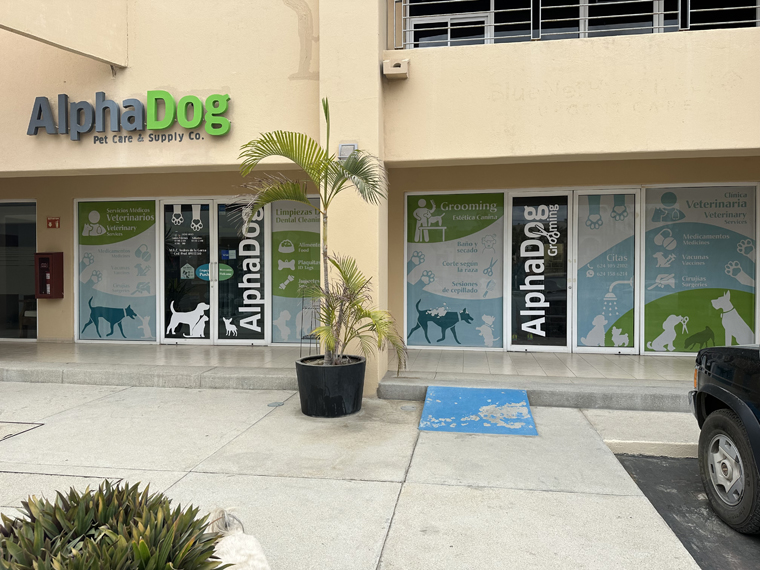 Alpha Dog Pet Care