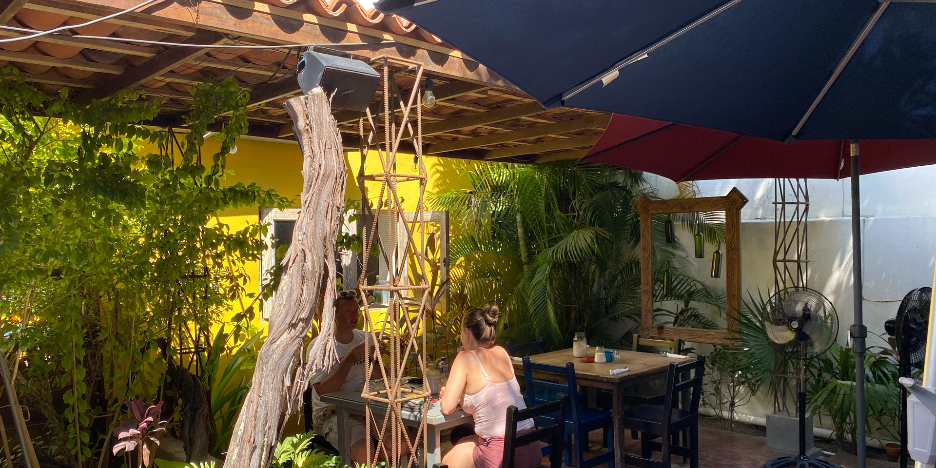 Lolita Café in San José del Cabo