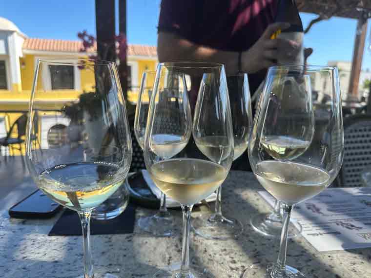 Wine Wednesday - Planning a Wine Pairing Dinner - Behind the Scenes