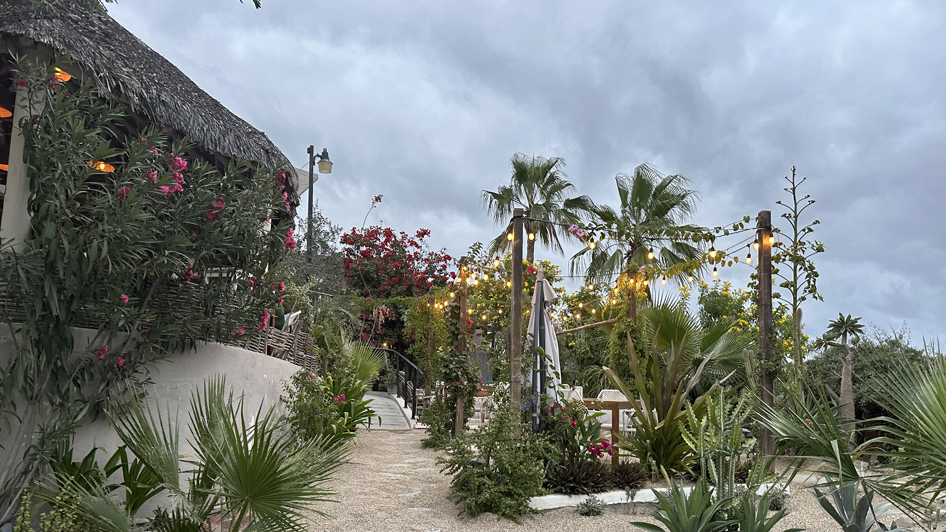 Il Giardino in Todos Santos