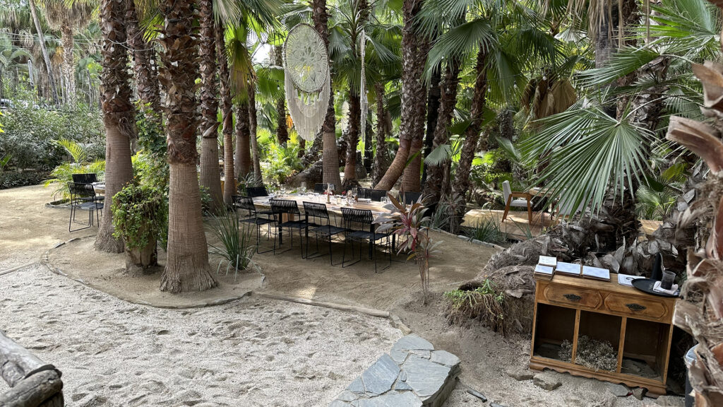 Dum Restaurant in Rancho Corazon in Todos Santos