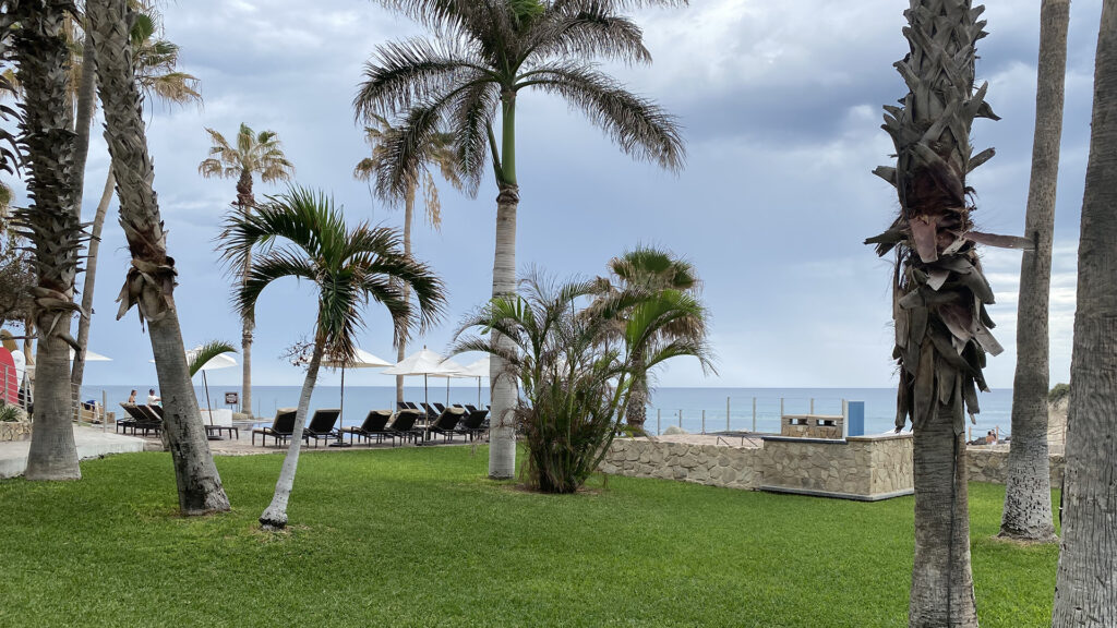 7 Seas Seafood Grille on the Corridor