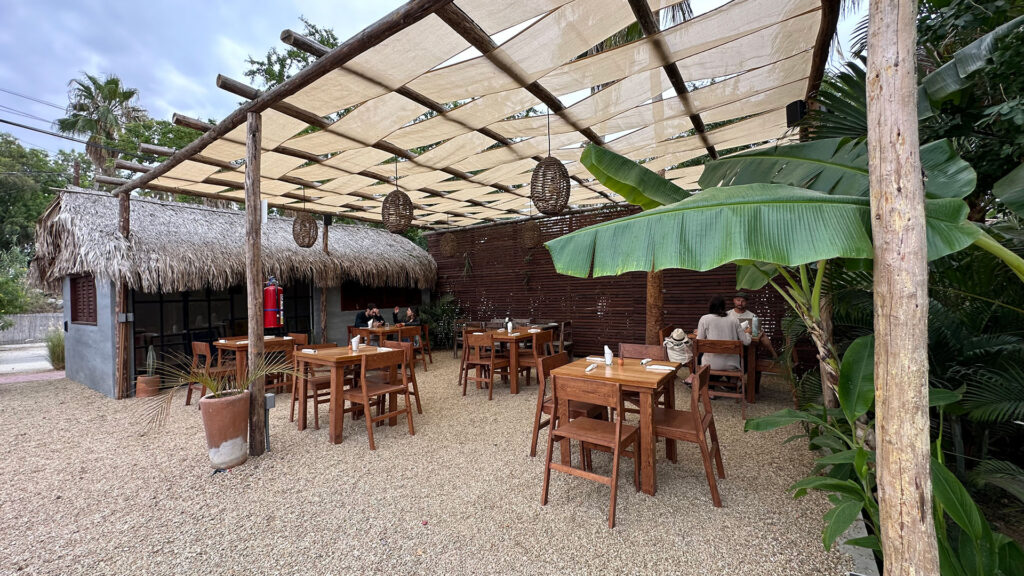 Cien Palmas in Todos Santos