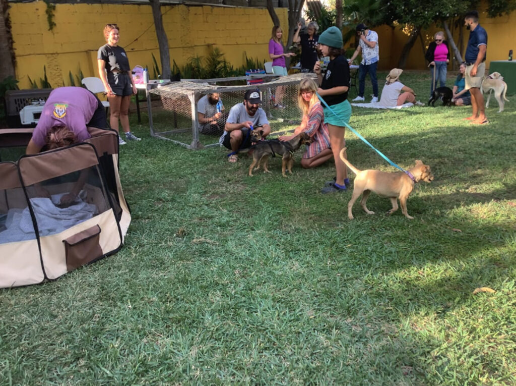 Pet Care at La Palapa de Sabor